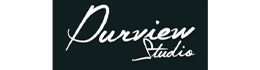 2411-Purview